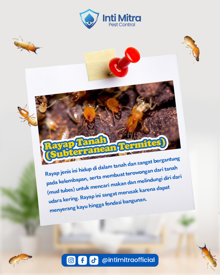 POST 32.2 INTI MITRA OFFICIAL